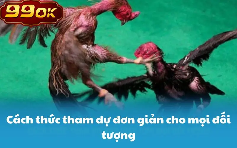 Cách thức tham dự đơn giản cho mọi đối tượng