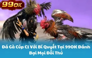 Đá Gà Cúp C1 Với Bí Quyết Tại 99OK Đánh Bại Mọi Đối Thủ