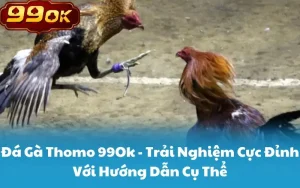 Đá Gà Thomo 99Ok - Trải Nghiệm Cực Đỉnh Với Hướng Dẫn Cụ Thể